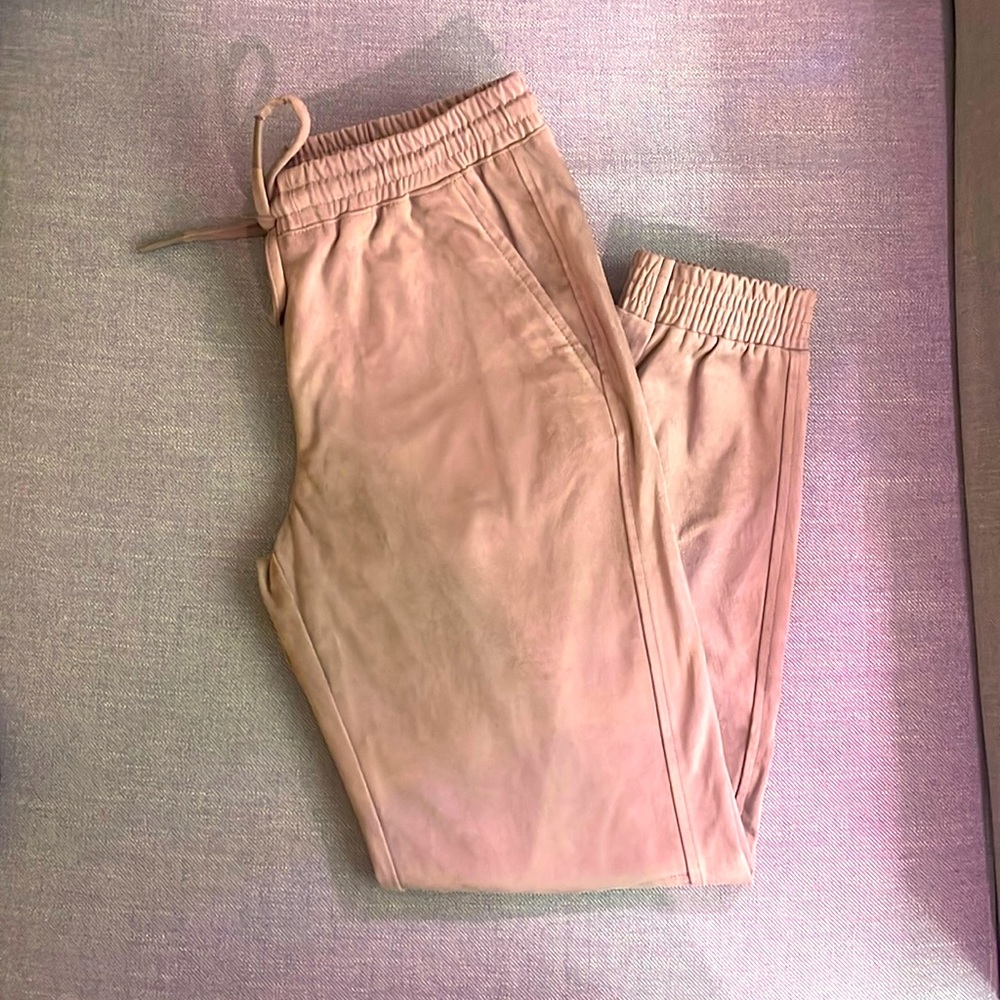 Zara Size Small Suede pants